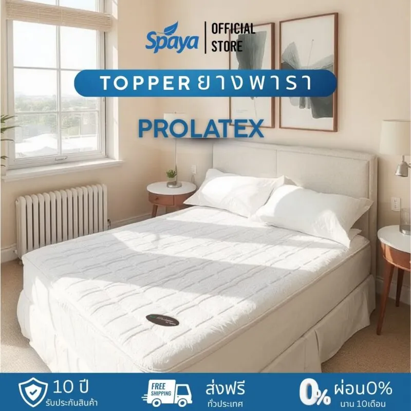 โรงงานผลิตที่นอน Spaya-ประเภท Topper ท็อปเปอร์ยางพารา Prolatex