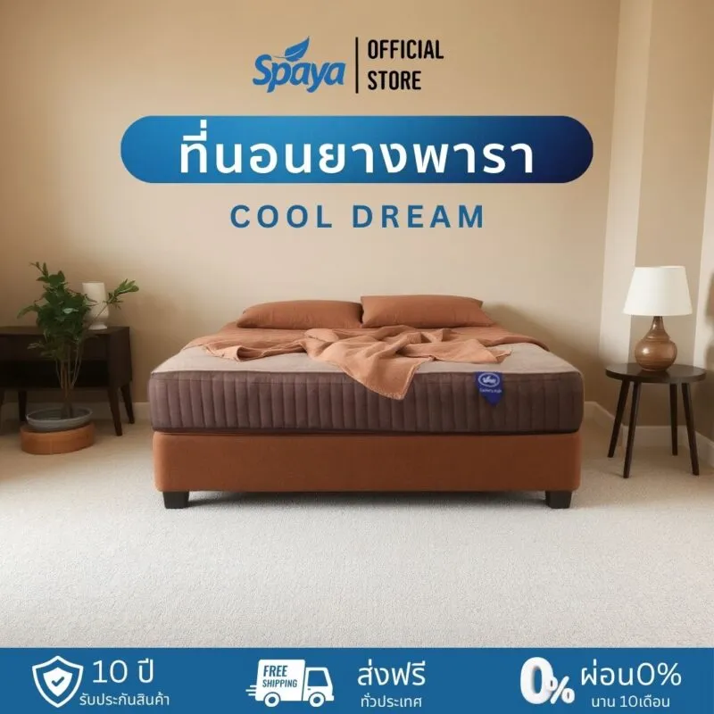 โรงงานผลิตที่นอน Spaya-ประเภทที่นอนยางพารา Cool Dream